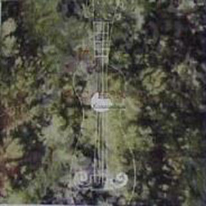 色精品视频在线观看
